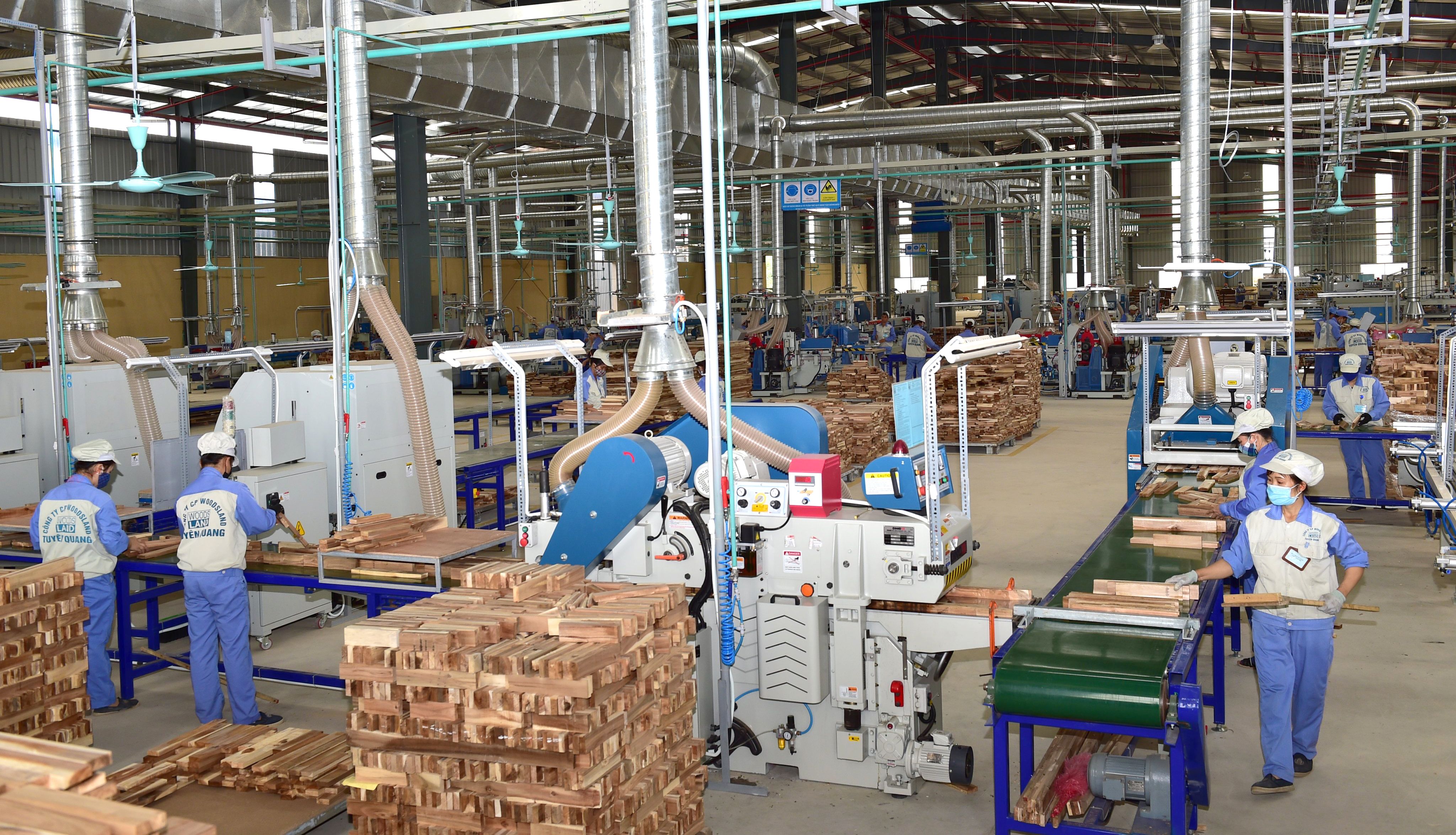 Công ty cổ phần Woodsland Tuyên Quang tạo việc làm cho 2.500 lao động.
